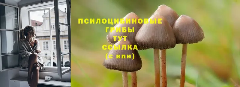 Псилоцибиновые грибы GOLDEN TEACHER  мега   Новое Девяткино 